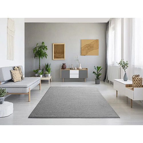 ATTICGO Tapis uni MONTANA argent 200x290 cm