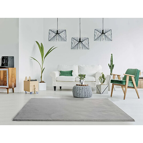 ATTICGO Tapis lavable shaggy FOX gris 160x230 cm