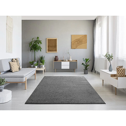 ATTICGO Tapis uni MONTANA gris 160x230 cm