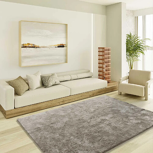 ATTICGO Tapis shaggy ROMA pierre 80x150 cm