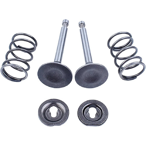 976 Soupape d’échappement d’admission Ressort Clapet anti-retour Ensemble