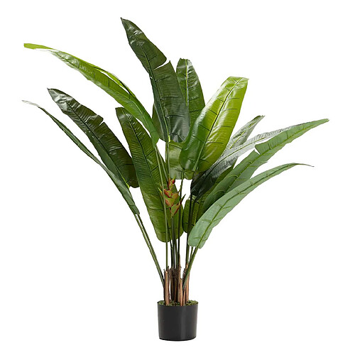 Alexandra House Living Arbre du voyageur 80 x 80 x 140 cm