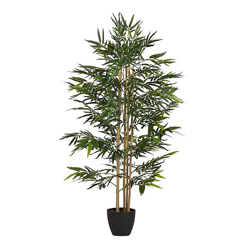 Alexandra House Living Plante de bambou avec pot 80 x 80 x 150 cm