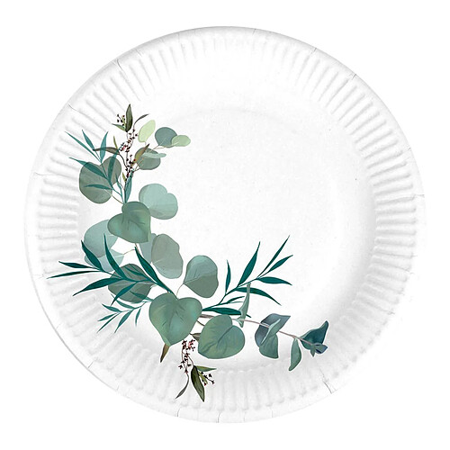 Homea Lot de 10 Assiettes en Carton Eucalyptus 18cm Blanc