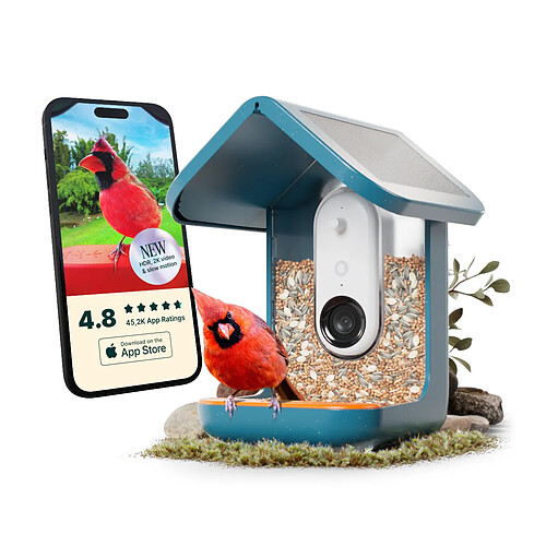 Birdbuddy Mangeoire à Oiseaux Intelligente Solaire avec caméra