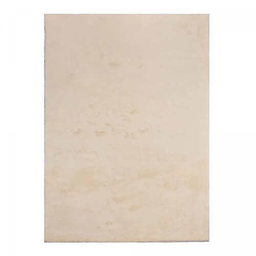 UnAmourDeTapis Tapis salle à manger 240x340 LYN10 LAVABLE Beige uni, tapis shaggy à longs poils
