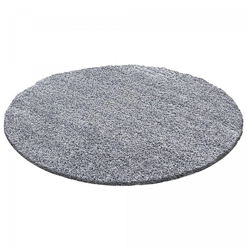 UnAmourDeTapis Tapis rond poils longs shaggy Ø200cm tissé gris motif uni UNI L