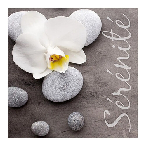 Paris Prix Lot de 20 Serviettes en Papier Sérénité 33x33cm Naturel