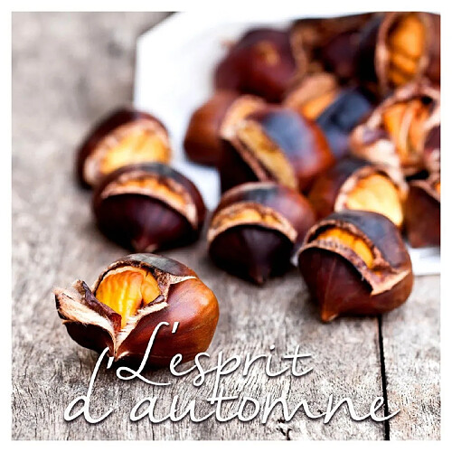 Paris Prix Lot de 20 Serviettes en Papier Marrons 33x33cm Naturel