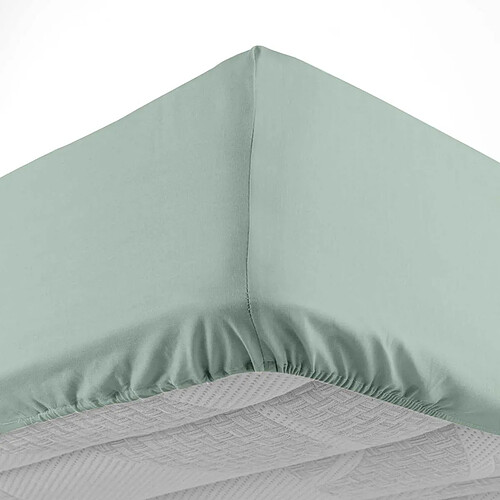 Paris Prix Drap Housse Lina 140x190cm Sauge