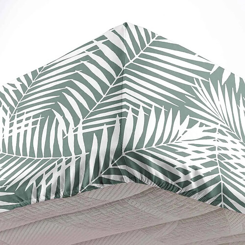 Douceur D'Interieur Drap Housse en Coton Botania 90x190cm Sauge
