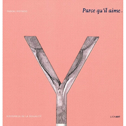 Parce qu'il aime ce qu'il n'a pas : histoire(s) de la sexualité · Occasion