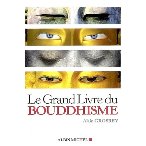 Le grand livre du bouddhisme · Occasion