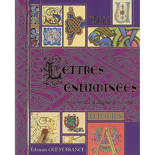 Lettres enluminées : carnet pratique de calligraphie ornementale · Occasion