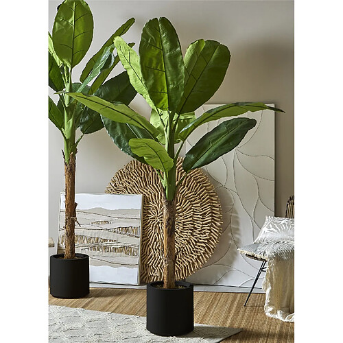 Alexandra House Living Bananier 220 cm. 220 cm