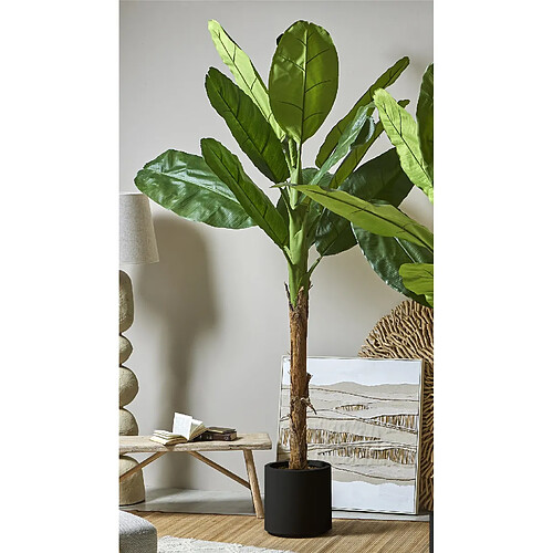 Alexandra House Living Bananier 250 cm. 250 cm