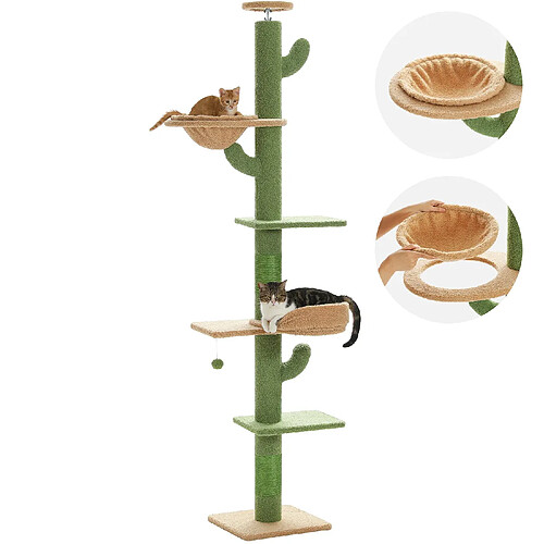 PAWZ Road Arbre à Chat Cactus du Sol au Plafond 205-255 cm