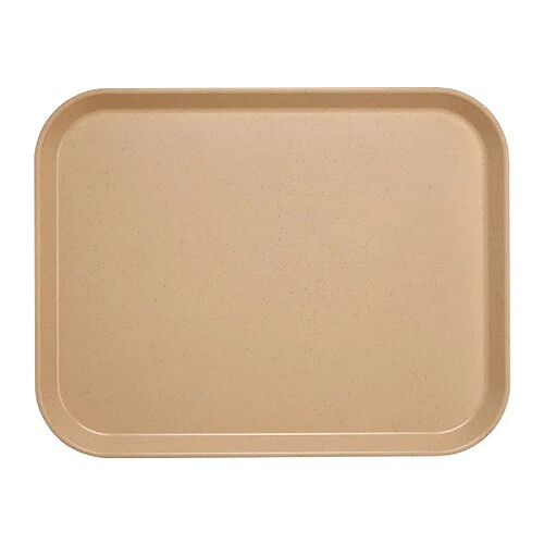 Plateau Polyester Versalite 430 mm - 2 Coloris - Cambro