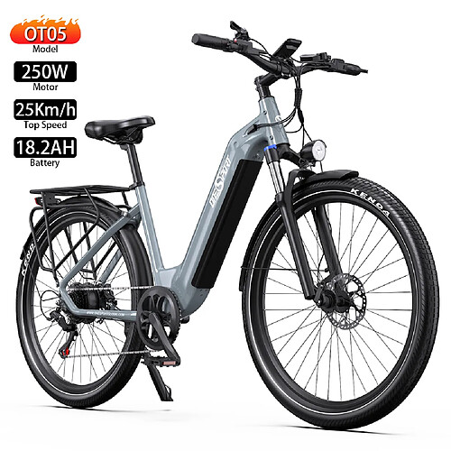 Vélo électrique Onesport OT05 250W Moteur 27.5" Gris