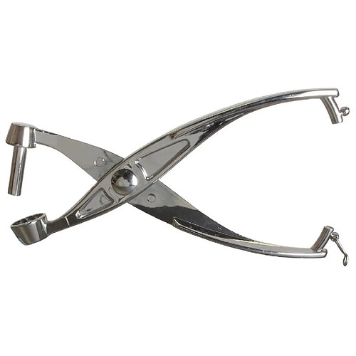 Louis Tellier Dénoyauteur Inox Cerises et Olives - Tellier