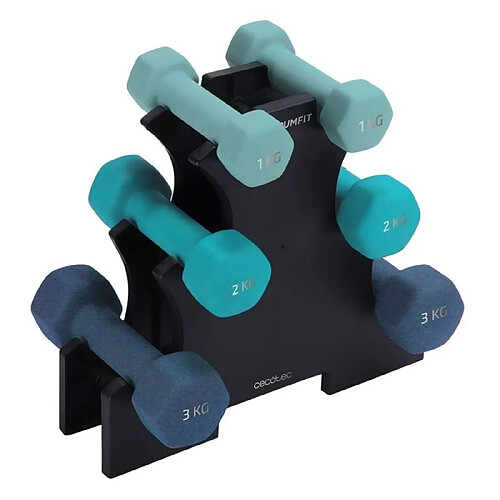 Haltères Cecotec DrumFit 1 kg 2 Kg 3 Kg Bleu 6 Unités