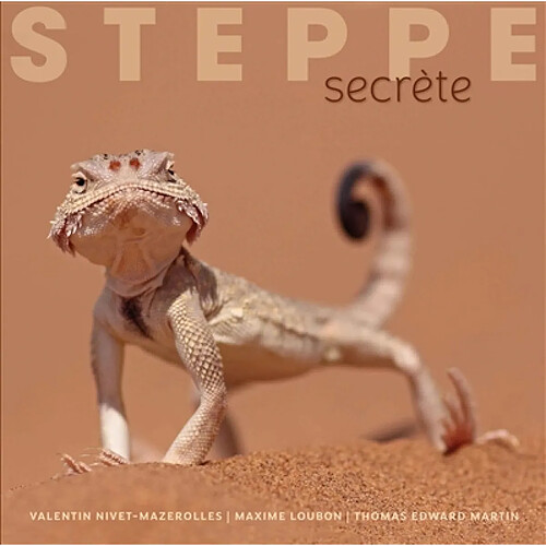Steppe secrète · Occasion