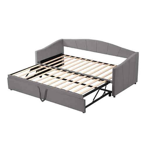 DZMDIP Lit gigogne 90/180x200 cm 2 places canapé-lit extensible avec sommier à lattes, tissu velours doux pour la peau, gris