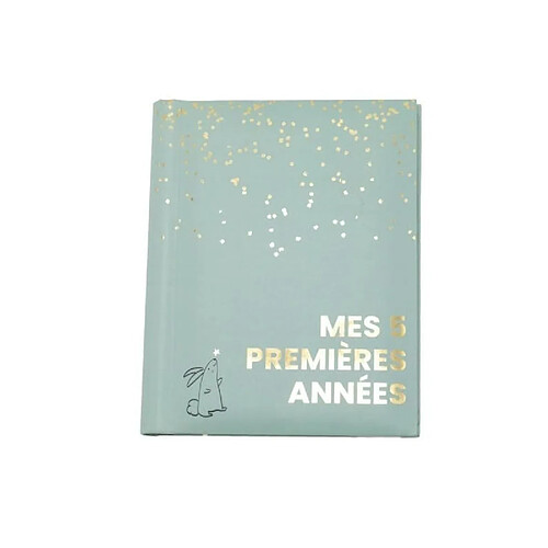 Livre naissance - DOMIVA - Sauge Gold - 5 premieres années - 100 pages illustrées
