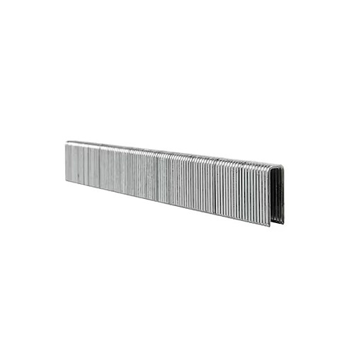 Boîte de 3000 agrafes DEWALT/Dimensions:5.6 x 35 mm