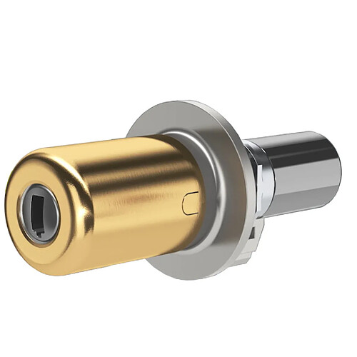 Fichet capote de protection cylindre - Chromé