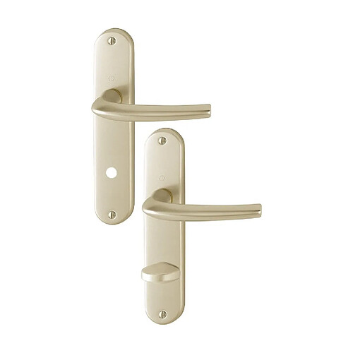 Ensemble San Diego grand model type à condamnation finition F2 alu aspect champagne HOPPE 3559811