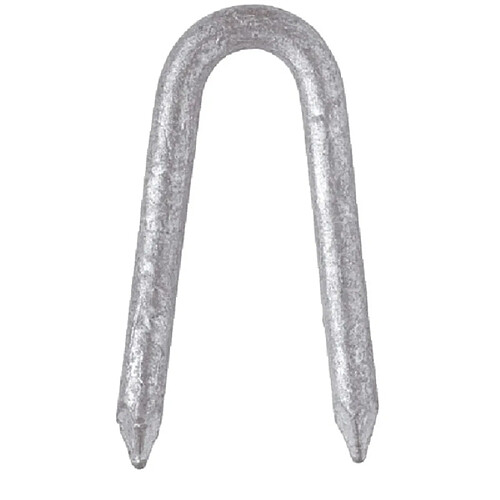 Pate clous crampillons galvanisés - Boîte 5 kg