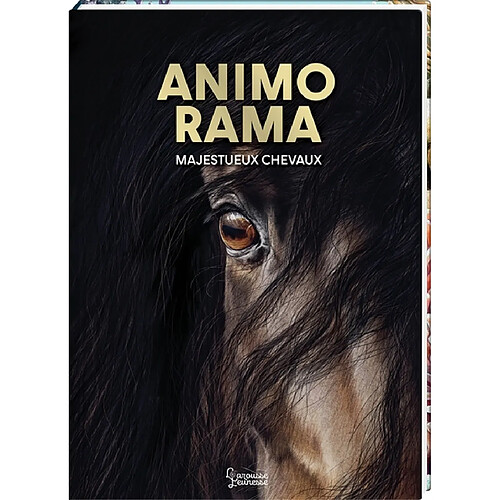 Majestueux chevaux