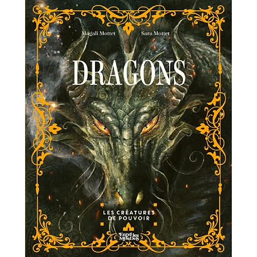 Dragons : les créatures de pouvoir · Occasion