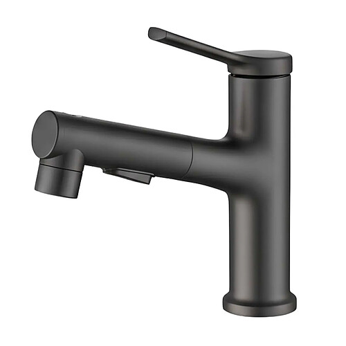 Avizar Robinet de Lavabo Extensible avec Fonction de Rinçage Buccal Noir