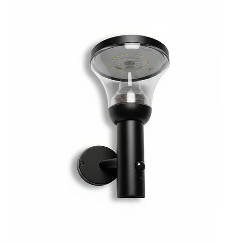 Lumihome Applique extérieure solaire DIVA avec détecteur de mouvements