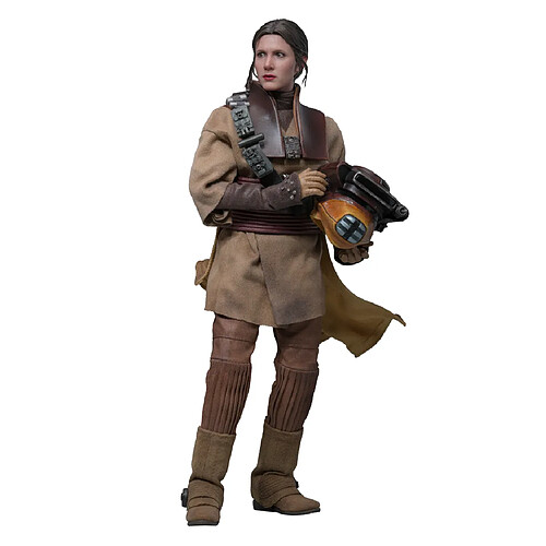 Hot Toys MMS854 - Star Wars : Return Of The Jedi - Leia Organa Boushh Disguise