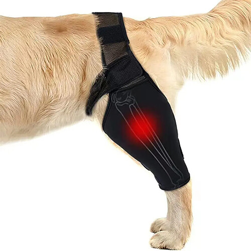 INF Attelle de patte arrière pour chien pour la récupération après fracture L