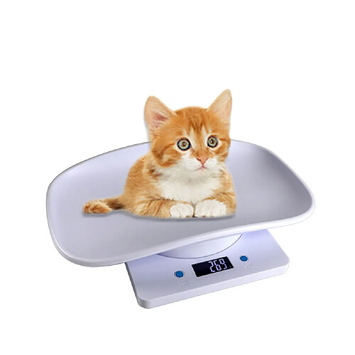 INF Balance Numérique pour Animaux de Compagnie - Capacité 15kg avec Écran LCD, Pesée Précise