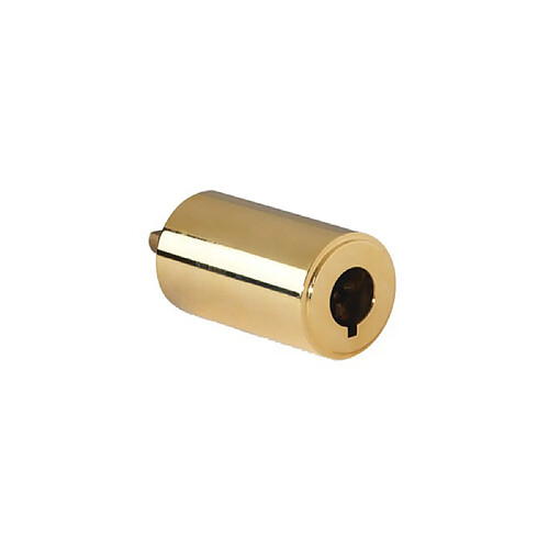 POLLUX 910500 - Cylindre bouton 45 mm - Laiton poli