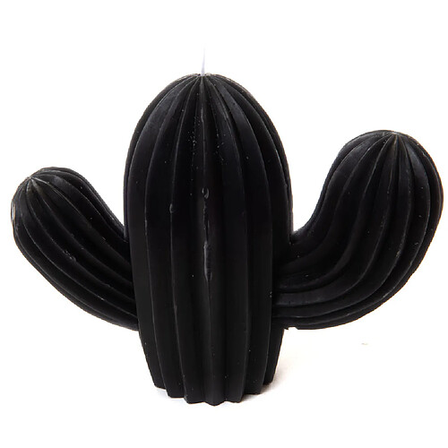 Amadeus Bougie cactus noire