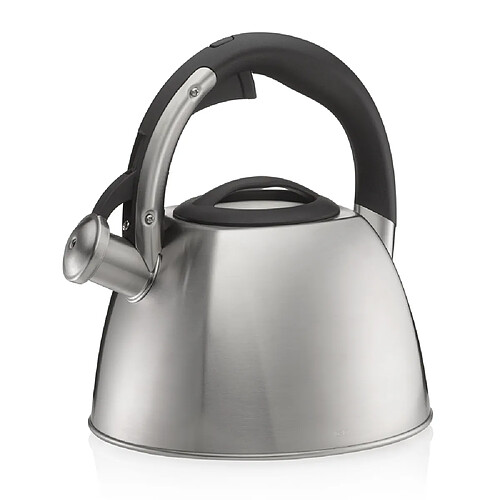 Kela Bouilloire Vitus inox 2,4L