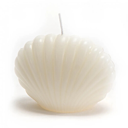Amadeus Bougie coquillage crème (lot de 8)
