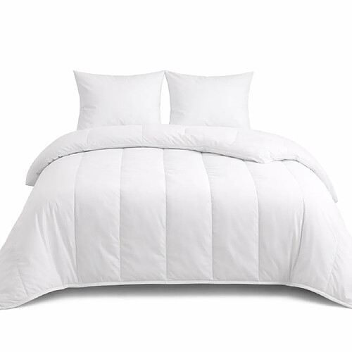 Mortreux Couette Blanche Anti-moustiques et Anti-punaises de lit - Tempérée 220x240 - 14923