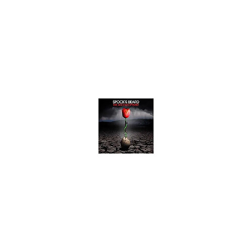 Pias Spock's Beard - The Archaeoptimist - Double vinyle rouge (édition limitée)