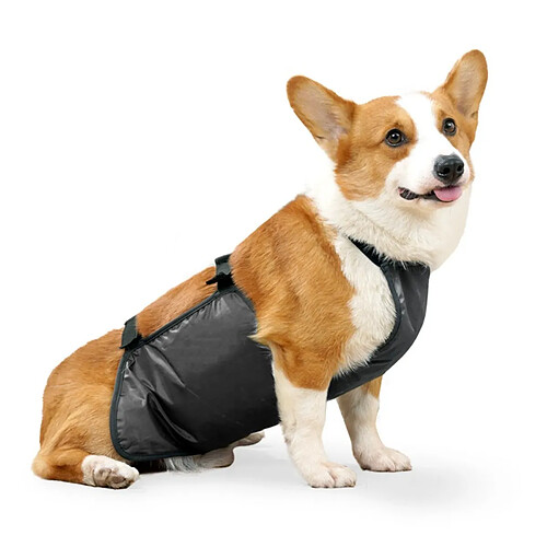 INF Ceinture ventrale pour chiens moyens et grands - Housse imperméable et respirante en polye