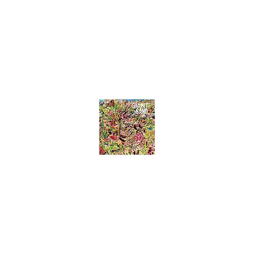 Giant Sand Returns To Valley Of Rain - 12" Vinyle - Éd. Standard