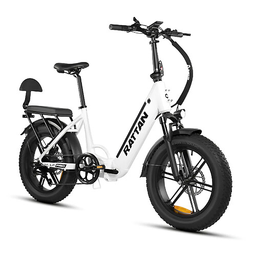 Vélo Électrique Pliable Rattan LFPro 750W 48V18Ah Autonomie 90km,Shimano 7 Vitesses 20*4.0