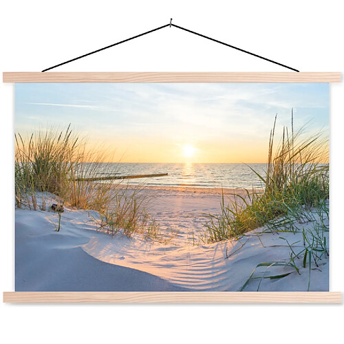 Muchowow Plage Soleil Dune Herbe - 60 x 60 cm