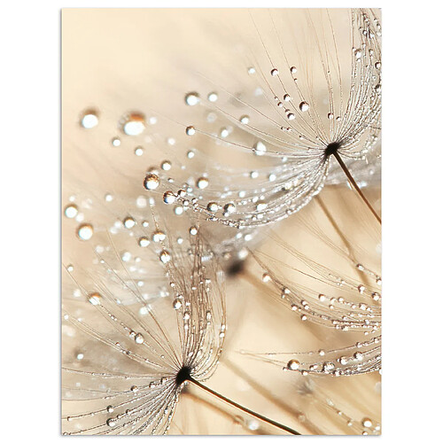 Muchowow Pissenlit Abstrait Nature - 60 x 60 cm